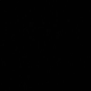 Meet your Posher, Bryson